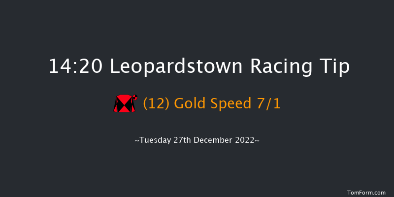 Leopardstown 14:20 Handicap Hurdle 16f Mon 26th Dec 2022
