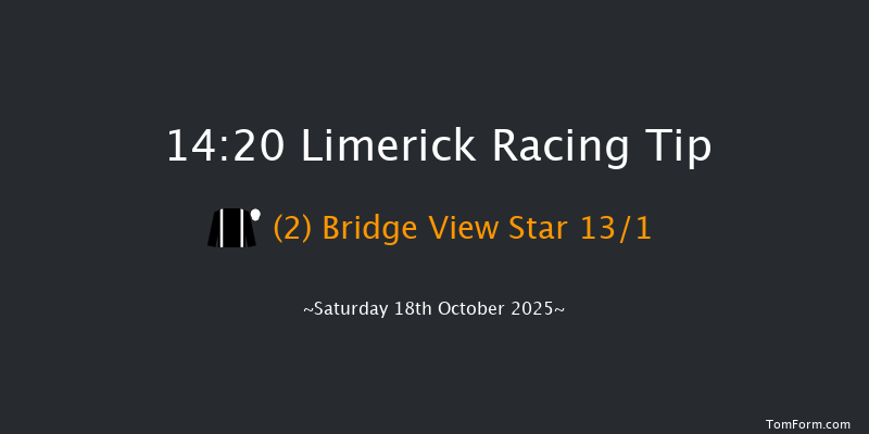 Limerick 14-20 19f Sat 12th Jul 2025
