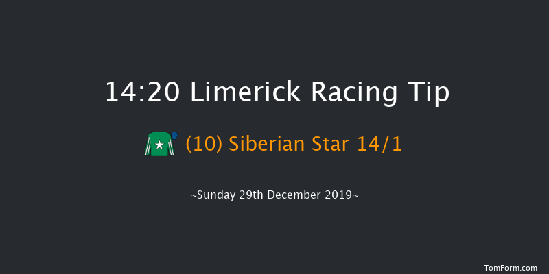 Limerick 14:20 Maiden Hurdle 19f Sat 28th Dec 2019