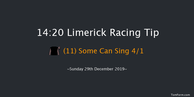 Limerick 14:20 Maiden Hurdle 19f Sat 28th Dec 2019