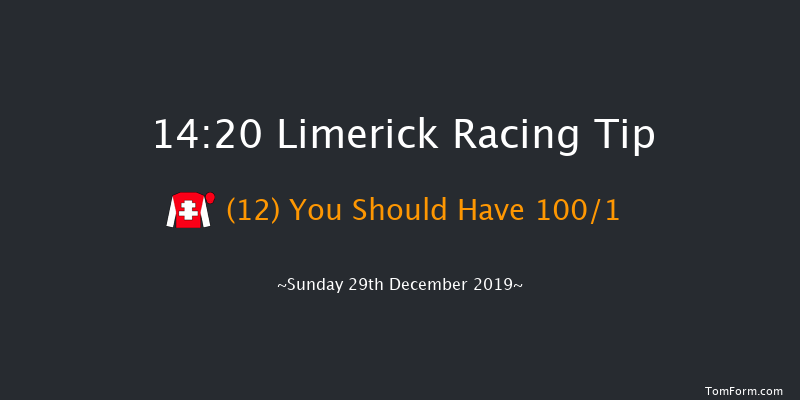 Limerick 14:20 Maiden Hurdle 19f Sat 28th Dec 2019