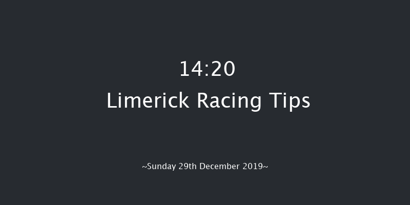 Limerick 14:20 Maiden Hurdle 19f Sat 28th Dec 2019