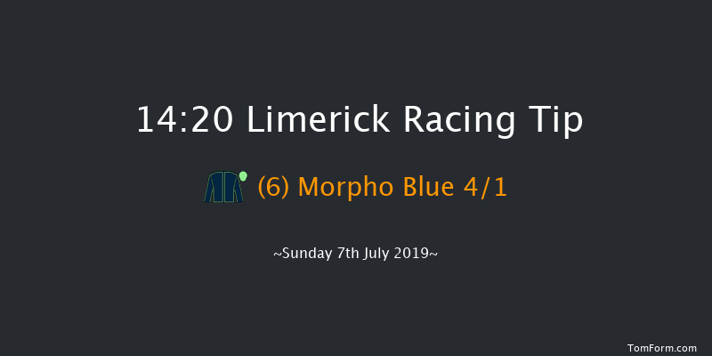 Limerick 14:20 Stakes 7f Thu 1st Jan 1970