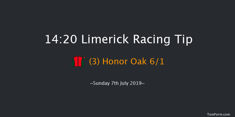Limerick 14:20 Stakes 7f Thu 1st Jan 1970