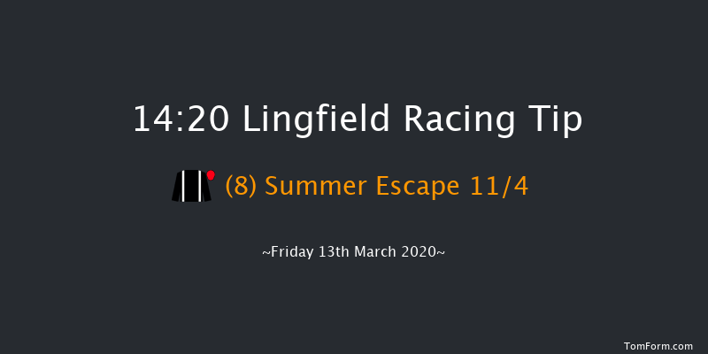 Bombardier British Hopped Amber Beer Novice Stakes Lingfield 14:20 Stakes (Class 5) 8f Wed 11th Mar 2020