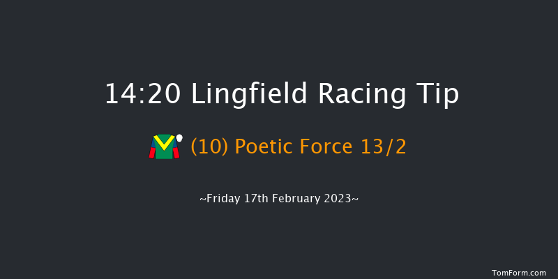 Lingfield 14:20 Handicap (Class 4) 7f Tue 14th Feb 2023