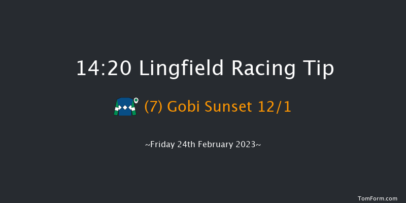 Lingfield 14:20 Handicap (Class 3) 7f Mon 20th Feb 2023