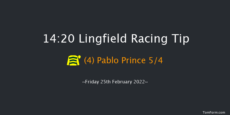 Lingfield 14:20 Handicap (Class 6) 12f Sat 19th Feb 2022