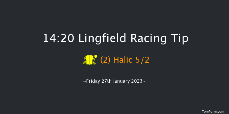 Lingfield 14:20 Handicap (Class 4) 12f Sat 21st Jan 2023