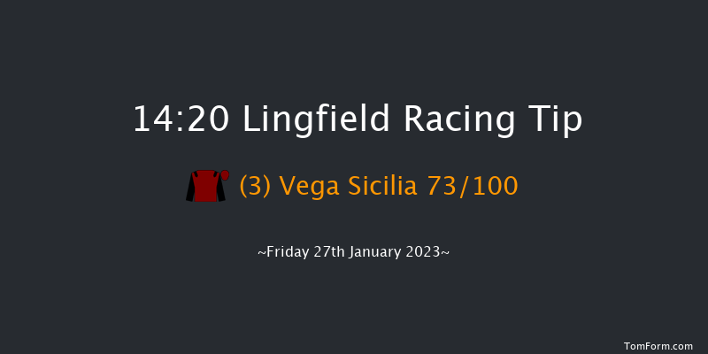Lingfield 14:20 Handicap (Class 4) 12f Sat 21st Jan 2023