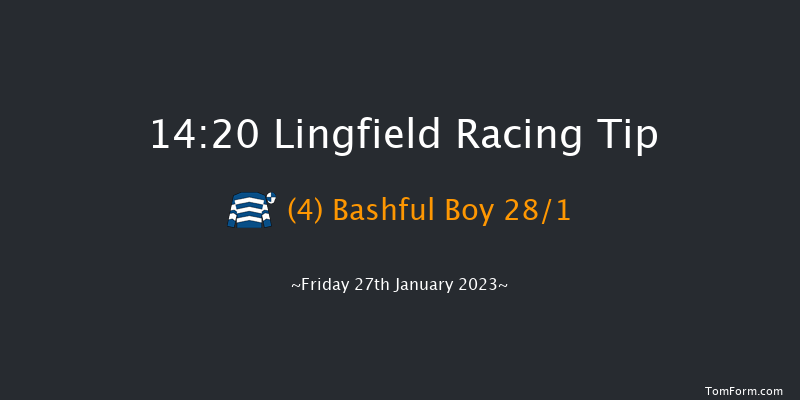Lingfield 14:20 Handicap (Class 4) 12f Sat 21st Jan 2023