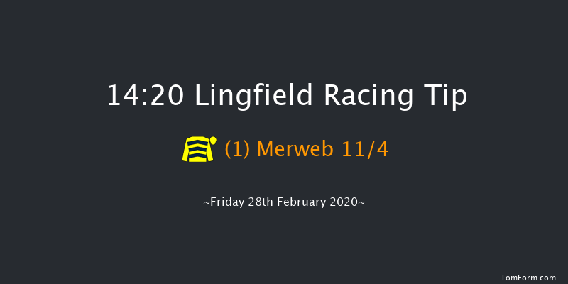 Bombardier Golden Beer Handicap Lingfield 14:20 Handicap (Class 5) 8f Tue 25th Feb 2020