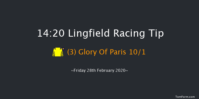 Bombardier Golden Beer Handicap Lingfield 14:20 Handicap (Class 5) 8f Tue 25th Feb 2020