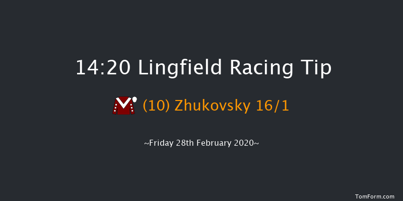 Bombardier Golden Beer Handicap Lingfield 14:20 Handicap (Class 5) 8f Tue 25th Feb 2020