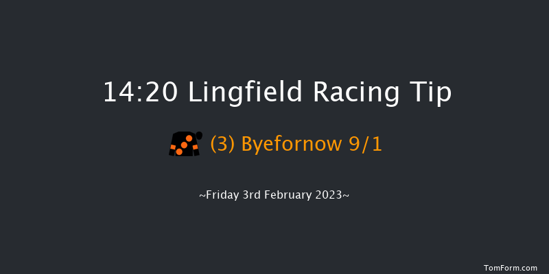 Lingfield 14:20 Handicap (Class 6) 6f Tue 31st Jan 2023