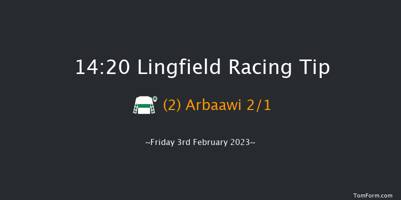 Lingfield 14:20 Handicap (Class 6) 6f Tue 31st Jan 2023