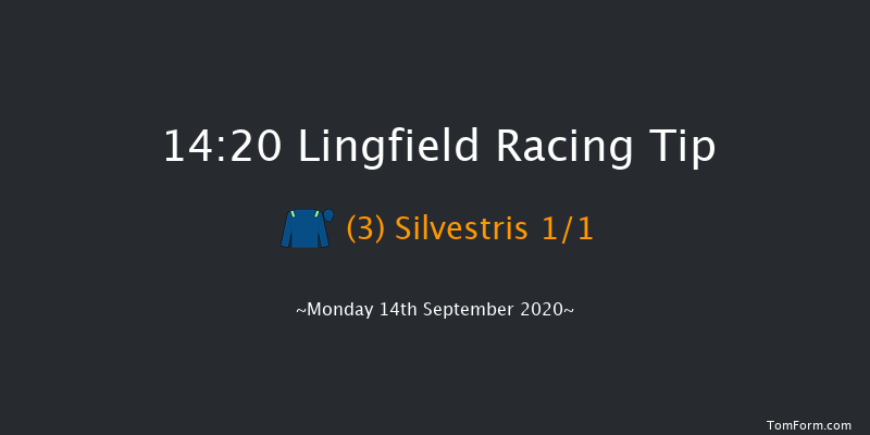 Betway Maiden Auction Stakes Lingfield 14:20 Maiden (Class 6) 7f Sat 12th Sep 2020