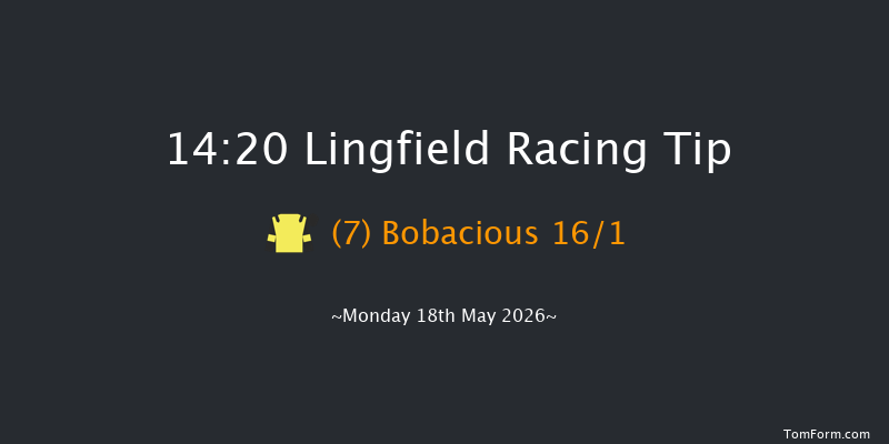 Lingfield 14-20 (Class 5) 10f Tue 12th May 2026