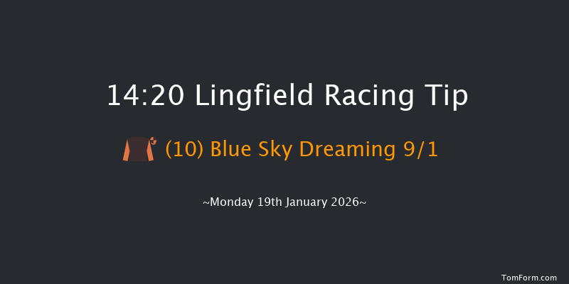 Lingfield 14-20 (Class 4) 19f Sat 17th Jan 2026
