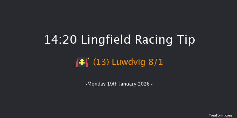 Lingfield 14-20 (Class 4) 19f Sat 17th Jan 2026