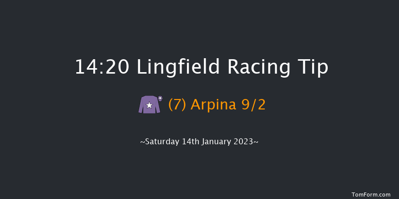 Lingfield 14:20 Stakes (Class 6) 10f Fri 13th Jan 2023