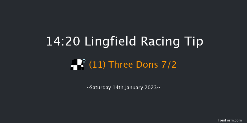 Lingfield 14:20 Stakes (Class 6) 10f Fri 13th Jan 2023