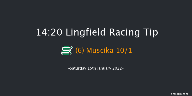 Lingfield 14:20 Handicap (Class 2) 6f Fri 14th Jan 2022