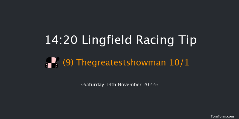 Lingfield 14:20 Handicap (Class 4) 5f Tue 15th Nov 2022