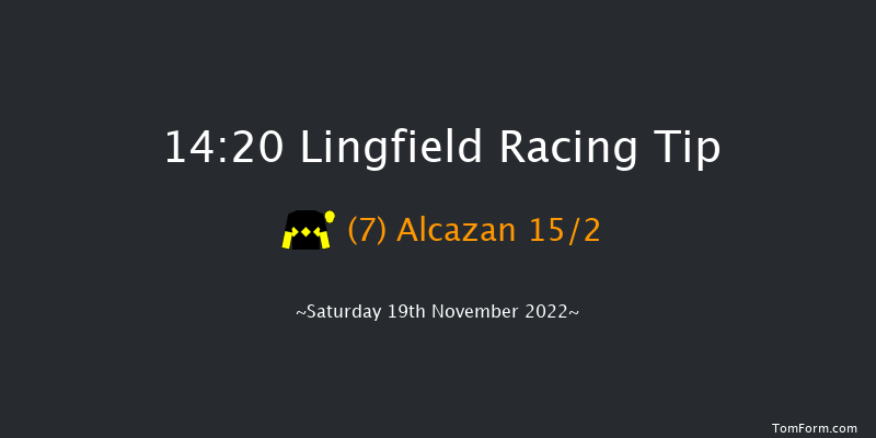 Lingfield 14:20 Handicap (Class 4) 5f Tue 15th Nov 2022