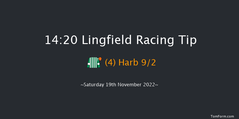 Lingfield 14:20 Handicap (Class 4) 5f Tue 15th Nov 2022