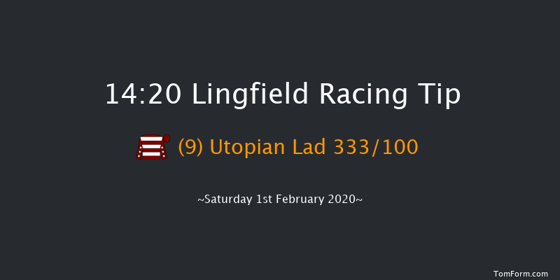 Lingfield 14:20 Handicap (Class 5) 10f Fri 31st Jan 2020