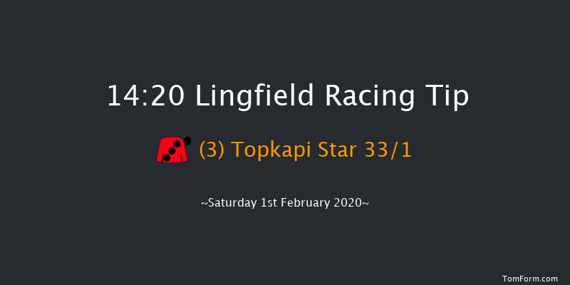 Lingfield 14:20 Handicap (Class 5) 10f Fri 31st Jan 2020