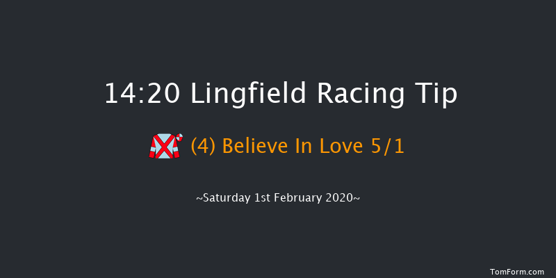 Lingfield 14:20 Handicap (Class 5) 10f Fri 31st Jan 2020