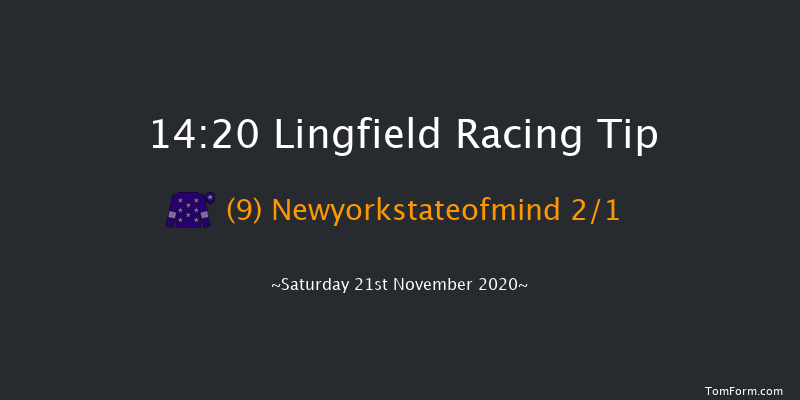 Betway Handicap Lingfield 14:20 Handicap (Class 4) 5f Sat 14th Nov 2020