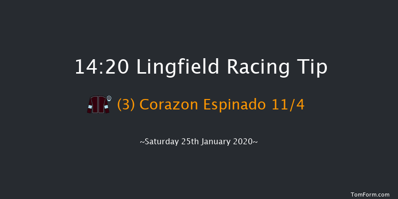 Lingfield 14:20 Handicap (Class 3) 8f Fri 24th Jan 2020