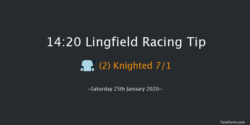 Lingfield 14:20 Handicap (Class 3) 8f Fri 24th Jan 2020