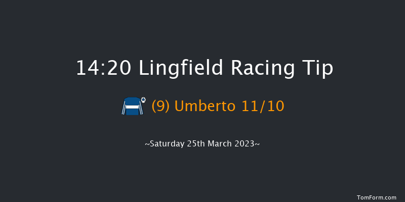 Lingfield 14:20 Stakes (Class 4) 8f Wed 8th Mar 2023