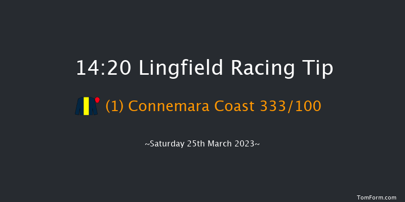 Lingfield 14:20 Stakes (Class 4) 8f Wed 8th Mar 2023