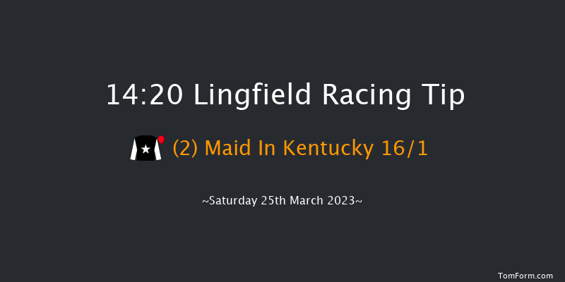 Lingfield 14:20 Stakes (Class 4) 8f Wed 8th Mar 2023