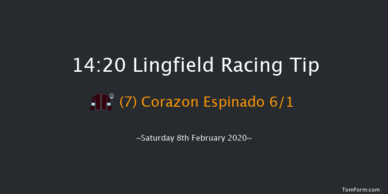 Bombardier 'March To Your Own Drum' Handicap Lingfield 14:20 Handicap (Class 2) 8f Sat 1st Feb 2020