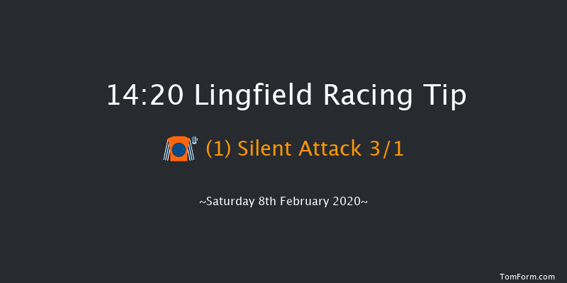 Bombardier 'March To Your Own Drum' Handicap Lingfield 14:20 Handicap (Class 2) 8f Sat 1st Feb 2020