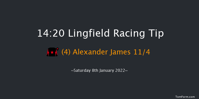 Lingfield 14:20 Handicap (Class 2) 10f Fri 7th Jan 2022