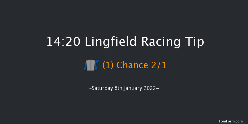 Lingfield 14:20 Handicap (Class 2) 10f Fri 7th Jan 2022