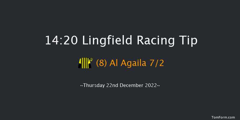 Lingfield 14:20 Handicap (Class 2) 10f Wed 21st Dec 2022
