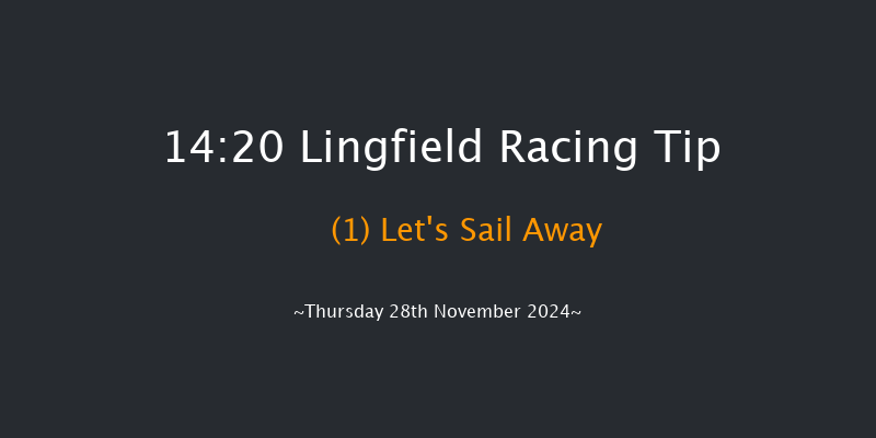 Lingfield  14:20 Handicap Hurdle (Class 5) 20f Thu 21st Nov 2024