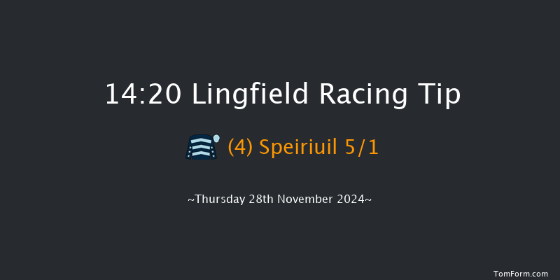 Lingfield  14:20 Handicap Hurdle (Class 5) 20f Thu 21st Nov 2024