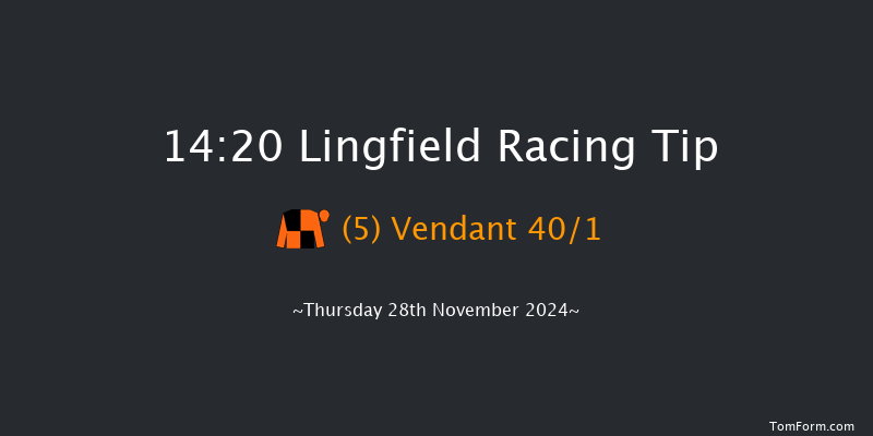 Lingfield  14:20 Handicap Hurdle (Class 5) 20f Thu 21st Nov 2024