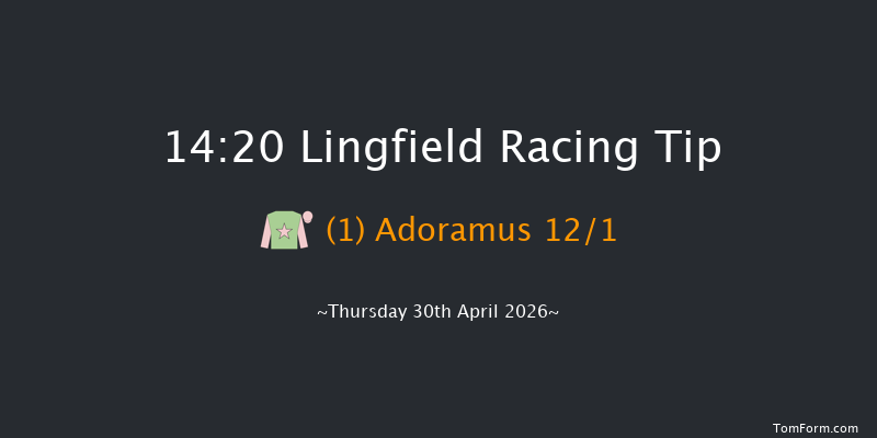 Lingfield 14-20 (Class 5) 6f Tue 28th Apr 2026