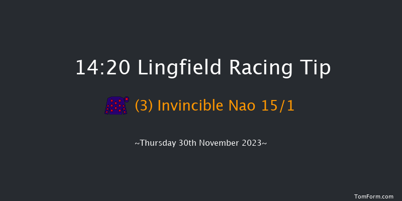 Lingfield 14:20 Handicap Chase (Class 4) 20f Sat 25th Nov 2023