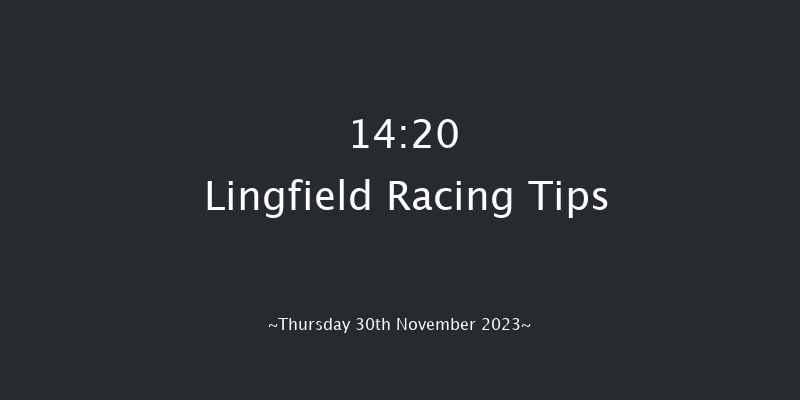 Lingfield 14:20 Handicap Chase (Class 4) 20f Sat 25th Nov 2023